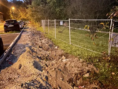 Mestna občina Ljubljana bo financirala gradnjo nove ograje Botaničnega vrta ob Ižanski cesti.&nbsp;