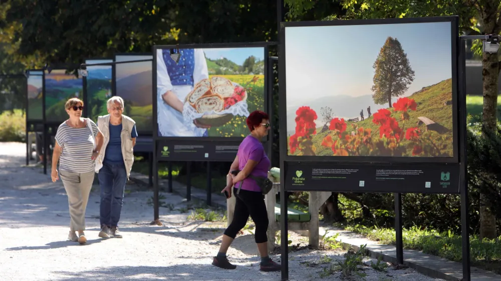 06.09.2023 - Jakopičevo sprehajali&scaron;če, Tivoli, razstava Cvetje v jeseniFoto: Tomaž Skale