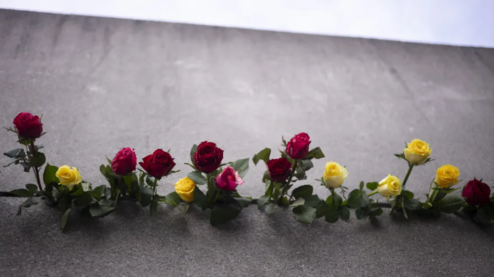 Flowers pile up in a crack in the Berlin Wall for the victims of the German division during an event to mark the 34th anniversary of the fall of the Berlin Wall at the Berlin Wall Memorial, Thursday, Nov. 9, 2023. (AP Photo/Markus Schreiber)