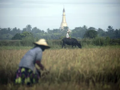 Rekordverd&auml;chtiges Spiel<br><br>Fuzhou, China. Ein Mitglied der "Thunderbolt Craziness"-Band tr&auml;gt einen Metallanzug, w&auml;hrend er einen Lichtbogen formt. Dazu benutzt er einen Metallstab und steht auf einer Tesla-Spule. Die Band produziert die Effekte passend zu ihrer Musik. Mit 1,8 Meter hohen Tesla-Spulen und bis zu 4,2 Meter langen Lichtb&ouml;gen will die Gruppe in China einen neuen Weltrekord aufstellen. <br><br>In einem Land vor unserer Zeit<br><br>Bago, Myanmar. Es wirkt wie ein Motiv aus einem M&auml;rchen: Im Hintergrund ragt eine Pagode, ein mehrgeschossiges, turmartiges Bauwerk, in die H&ouml;he, davor kniet ein kleiner Junge auf einem Bullen und eine Frau erntet Reis. Das Motiv stammt aus Myanmar, aufgenommen nahe der Stadt Bago. J&uuml;ngsten Berechnungen zufolge soll der Reisexport in dem asiatischen Land um mehr als das Doppelte ansteigen. Myanmar orientierte sich in den Jahren der Isolation verst&auml;rkt gen China, will nun aber sein Verh&auml;ltnis zum Westen st&auml;rken. Zahlreiche amerikanische Unternehmen stehen bereits in den Startl&ouml;chern, um zu investieren. <br><br>Schlecht bezahlte Zirkusnummer<br><br>Hyderabad, Indien. Das kleine M&auml;dchen verdient seinen Lebensunterhalt mit Akrobatik auf der Stra&szlig;e. Es balanciert &uuml;ber ein gespanntes Seil, w&auml;hrend seine Mutter dazu auf einer Trommel spielt. Doch die reisenden Stra&szlig;enk&uuml;nstler, die nach ihrer Auff&uuml;hrung bei den Zuschauern Geld sammeln, haben ein mageres Einkommen. &copy; Noah Seelam/AFP