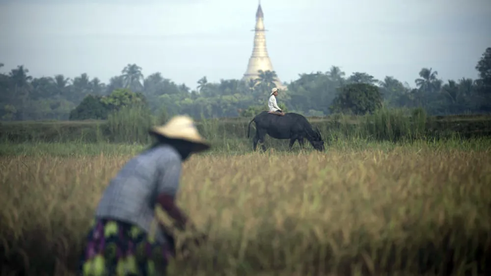 Rekordverd&auml;chtiges Spiel<br><br>Fuzhou, China. Ein Mitglied der "Thunderbolt Craziness"-Band tr&auml;gt einen Metallanzug, w&auml;hrend er einen Lichtbogen formt. Dazu benutzt er einen Metallstab und steht auf einer Tesla-Spule. Die Band produziert die Effekte passend zu ihrer Musik. Mit 1,8 Meter hohen Tesla-Spulen und bis zu 4,2 Meter langen Lichtb&ouml;gen will die Gruppe in China einen neuen Weltrekord aufstellen. <br><br>In einem Land vor unserer Zeit<br><br>Bago, Myanmar. Es wirkt wie ein Motiv aus einem M&auml;rchen: Im Hintergrund ragt eine Pagode, ein mehrgeschossiges, turmartiges Bauwerk, in die H&ouml;he, davor kniet ein kleiner Junge auf einem Bullen und eine Frau erntet Reis. Das Motiv stammt aus Myanmar, aufgenommen nahe der Stadt Bago. J&uuml;ngsten Berechnungen zufolge soll der Reisexport in dem asiatischen Land um mehr als das Doppelte ansteigen. Myanmar orientierte sich in den Jahren der Isolation verst&auml;rkt gen China, will nun aber sein Verh&auml;ltnis zum Westen st&auml;rken. Zahlreiche amerikanische Unternehmen stehen bereits in den Startl&ouml;chern, um zu investieren. <br><br>Schlecht bezahlte Zirkusnummer<br><br>Hyderabad, Indien. Das kleine M&auml;dchen verdient seinen Lebensunterhalt mit Akrobatik auf der Stra&szlig;e. Es balanciert &uuml;ber ein gespanntes Seil, w&auml;hrend seine Mutter dazu auf einer Trommel spielt. Doch die reisenden Stra&szlig;enk&uuml;nstler, die nach ihrer Auff&uuml;hrung bei den Zuschauern Geld sammeln, haben ein mageres Einkommen. &copy; Noah Seelam/AFP