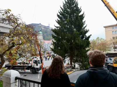 Postavitev smreke na Pre&scaron;ernovem trgu.