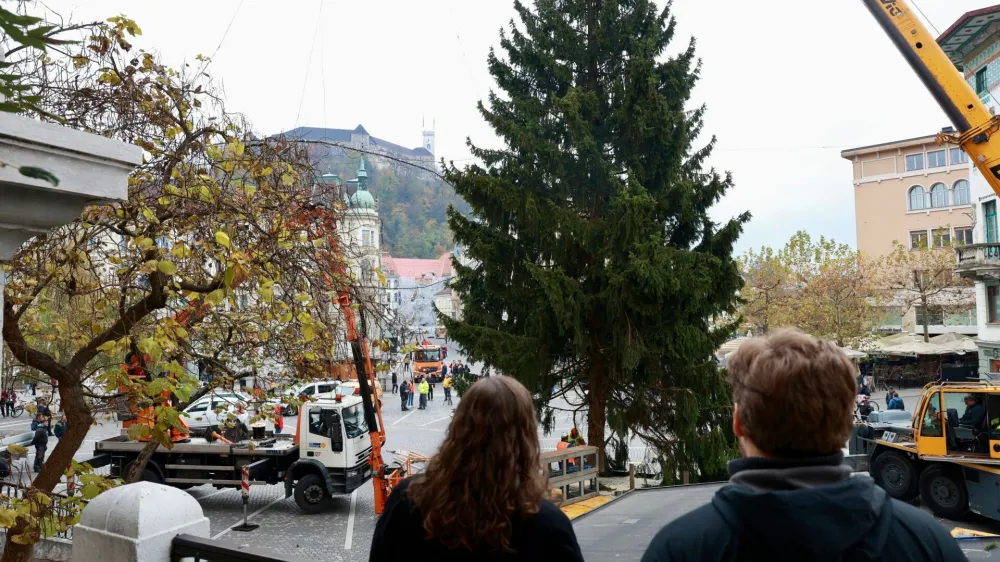 Postavitev smreke na Pre&scaron;ernovem trgu.