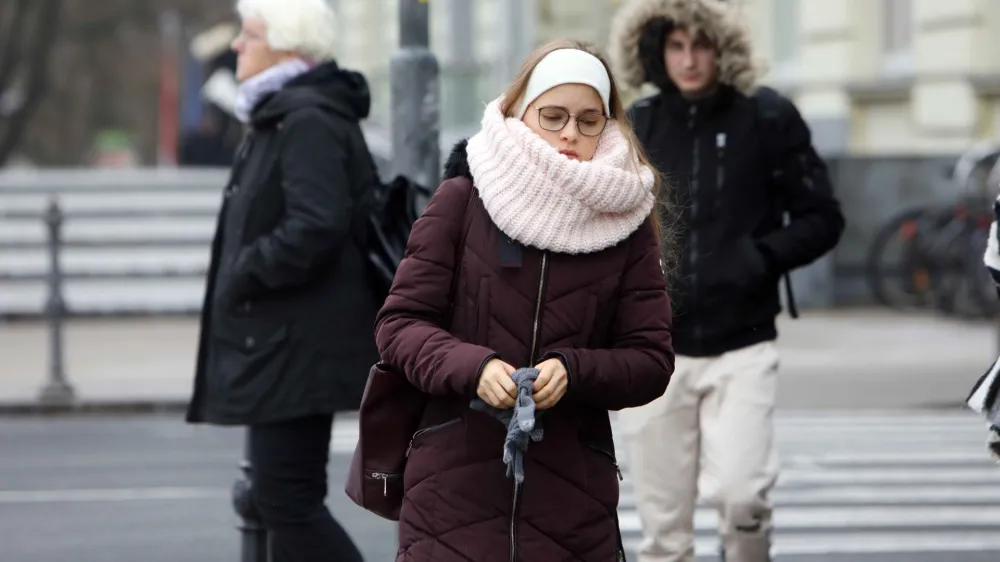 - 04.12.2023 &ndash; simbolična fotografija &ndash; zima &ndash; jutranji mraz v Ljubljani &ndash; temperature padle pod ničlo &ndash; //FOTO: Tomaž Skale