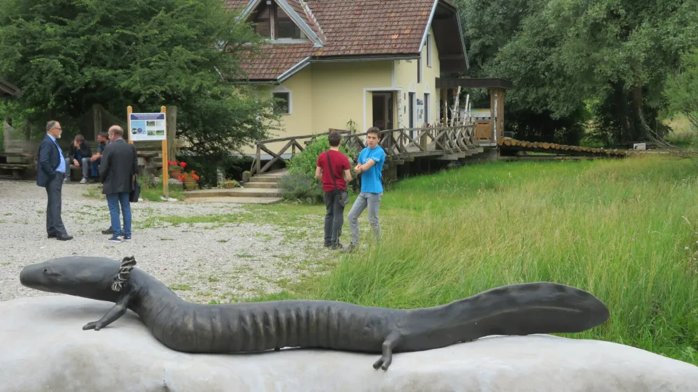 Črna člove&scaron;ka ribica, ki živi le v nekaj izvirih na območju Dobličice, je zelo občutljiva na vsakr&scaron;no onesnaženost vode. Na sliki turistična kmetija Zupančič v Jel&scaron;evniku, kjer so pred tremi leti uredili infocenter o črnem močerilu.
Foto: Dragana Stanković Q