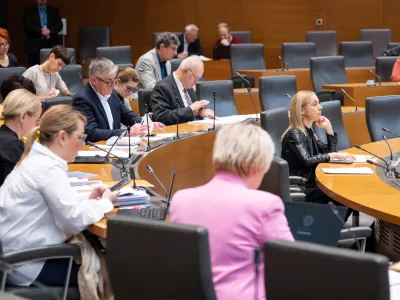 Ljubljana, DZ.<br>Nadaljevanje redne seje DZ.