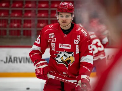 hokej na ledu, bine ma&scaron;ič, slovenija