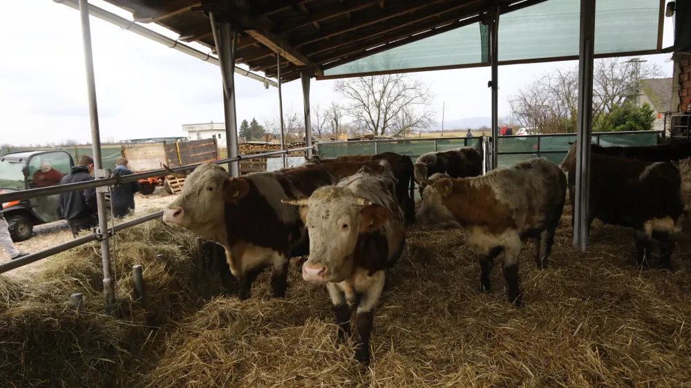 &nbsp; &nbsp; &nbsp;&nbsp;