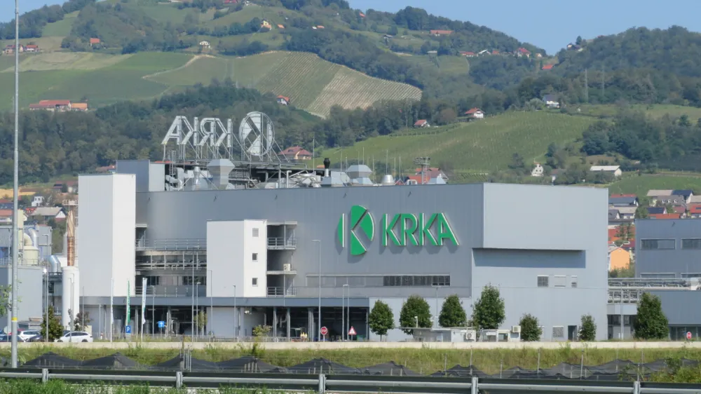 Krkin obstoječi obrat Sinteza v Kr&scaron;kem. F Dragana Stanković