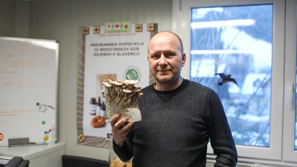 26.01.2024. dr. Andrej Gregori, ustanovitelj podjetja Goba, ki se ukvarja z gojenjem in produkcijo zdravilnih in medicinskih gob.//FOTO: Bojan Velikonja