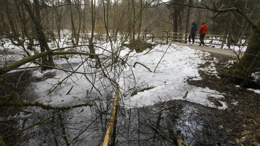 Med največjimi mokri&scaron;či v Krajinskem parku Tivoli, Rožnik in &Scaron;i&scaron;enski hrib, če od&scaron;tejemo približno 40 ekstenzivnih travnikov, so Kose&scaron;ki bajer in Tivolski ribnik ter naravna rezervata Mostec in Mali Rožnik oziroma Rakovni&scaron;ko barje.&nbsp;