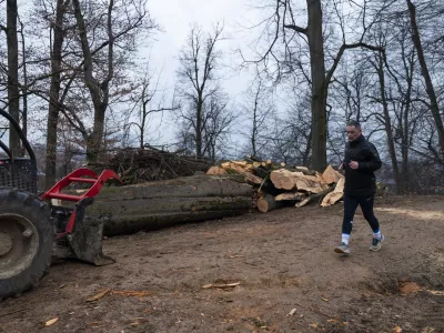 &scaron;porttekrekreacija- 27.02.2024 &ndash; Krajinski park Tivoli &ndash; sečnja oslabljenih in bolnih dreves na območju Podrožni&scaron;ke poti v Krajinskem parku Tivoli, Rožnik in &Scaron;i&scaron;enski hrib //FOTO: Nik Erik Neubauer