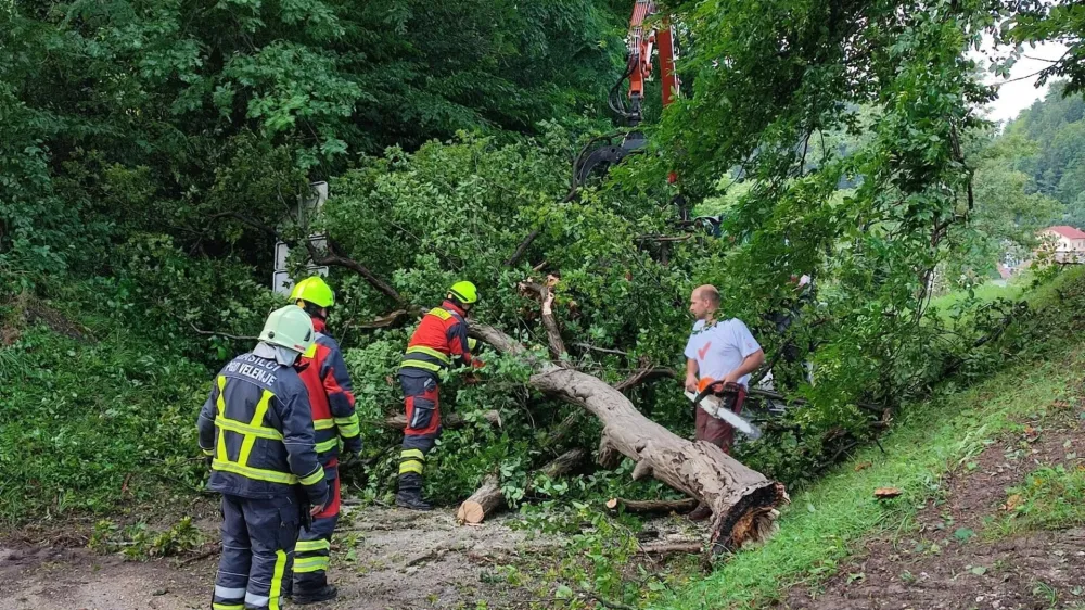 Družba Slovenski državni gozdovi je začela odstranjevati posledice neurja in čistiti gozd na območju trimsteze pri Vili Herberstein. Foto: MOV