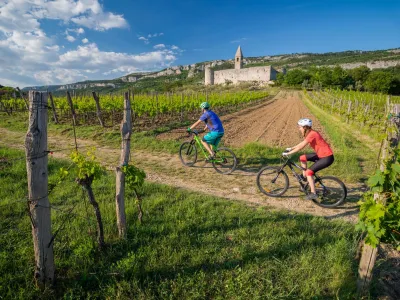 Zaradi velikega zanimanja med kolesarji in pohodniki po vodniku z naslovom Uživajmo podeželje so tega zdaj nagradili z novimi potmi.  Urejenih, vzdrževanih in ustrezno označenih je skupno 53: 28 pohodnih, 17 kolesarskih, pet učnih in tri konjeni&scaron;ke poti.<br>