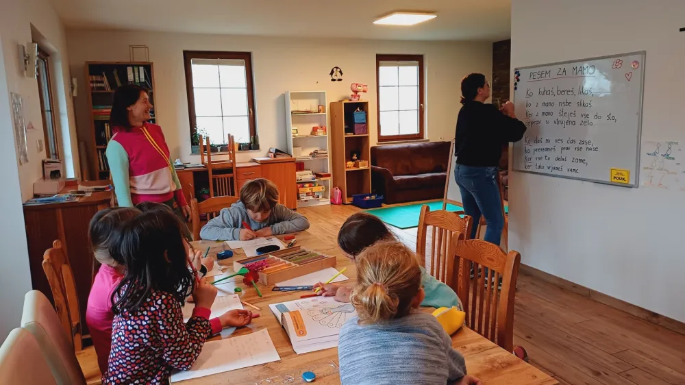 V zavodu stavijo na vodeno poučevanje na spro&scaron;čen način, v manj&scaron;ih skupinah in ob možnosti raznolikih dejavnosti.