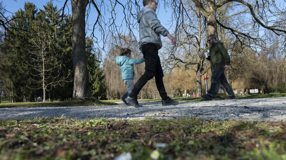 Za svoje celodnevno odgovorno delo rejniki od leto&scaron;njega 1. marca kljub povi&scaron;ici prejemajo 164 evrov mesečno. Fotografija je simbolična.&nbsp;