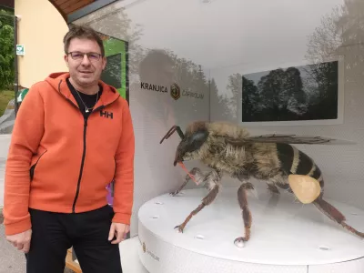 Bo&scaron;tjan Noč, predsednik Čebelarske zveze / Foto: Meta Černoga