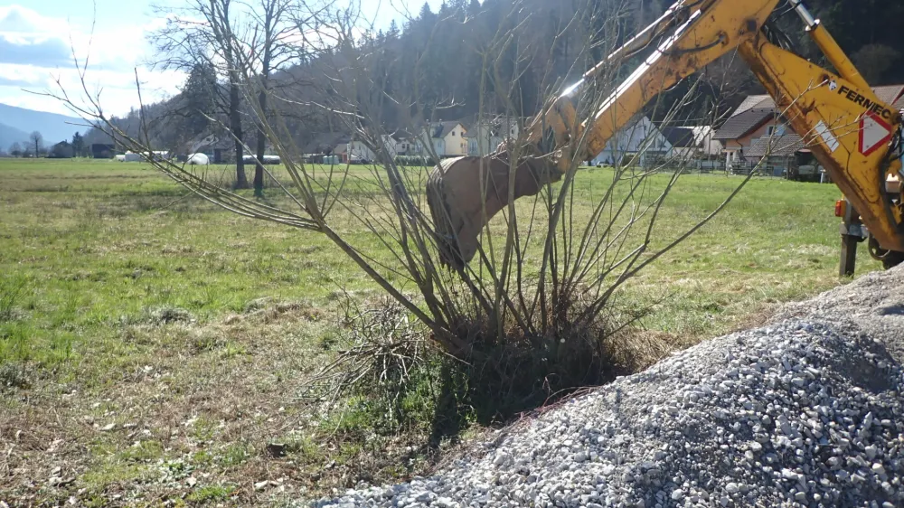 Grm invazivne rastline so odstranili tudi s pomočjo bagra.&nbsp;