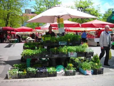 Trnovksa zeli&scaron;ča, trnovske branjevke, Janez Čuda