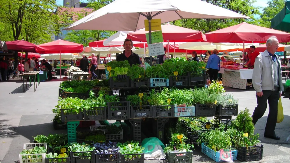 Trnovksa zeli&scaron;ča, trnovske branjevke, Janez Čuda