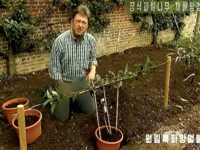 Zamegljene kavbojke britanskega voditelja na severnokorejski televiziji. F instagram