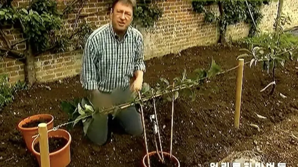 Zamegljene kavbojke britanskega voditelja na severnokorejski televiziji. F instagram