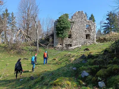Pomladno praznovanje samote, ti&scaron;ine in preteklosti v Trnovskem gozdu. F Franja Ži&scaron;t<br>