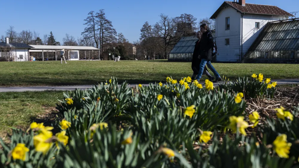 ValentinovoPark Tivoli- 14.2.2024 - Pomlad je pri&scaron;la v mesto.// FOTO: Nik Erik Neubauer