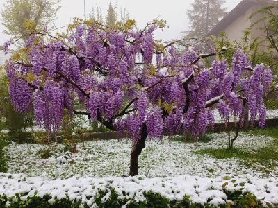 Sneg je pobelil tudi Medvode.