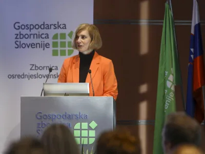 direktorica Zbornice osrednjeslovenske regije znotraj GZS Marjana Majerič,- 12.10.2023 - 23. Slovenska GAZELA 2023 &ndash; regijski izbor najbolj&scaron;ih najhitreje rastočih podjetij &ndash; razglasitev Gazele osrednje Slovenije 2023 v Domu gospodarstva GZS v Ljubljani - //FOTO: Luka Cjuha
