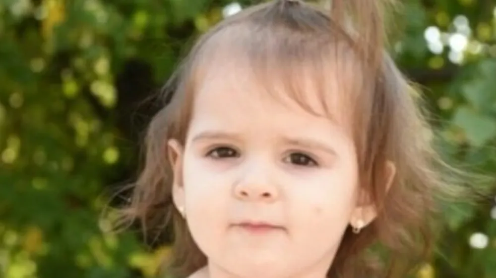 pogre&scaron;ana deklia Danka Ilić