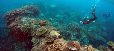 Peter Gash (L), owner and manager of the Lady Elliot Island Eco Resort, snorkels with Oliver Lanyon and Lewis Marshall, Senior Rangers in the Great Barrier Reef region for the Queenlsand Parks and Wildlife Service, during an inspection of the reef's condition in an area called the 'Coral Gardens' located at Lady Elliot Island and 80 kilometers north-east from the town of Bundaberg in Queensland, Australia, June 11, 2015. UNESCO World Heritage delegates recently snorkeled on Australia's Great Barrier Reef, thousands of coral reefs, which stretch over 2,000 km off the northeast coast. Surrounded by manta rays, dolphins and reef sharks, their mission was to check the health of the world's largest living ecosystem, which brings in billions of dollars a year in tourism. Some coral has been badly damaged and animal species, including dugong and large green turtles, are threatened. UNESCO will say on Wednesday whether it will place the reef on a list of endangered World Heritage sites, a move the Australian government wants to avoid at all costs, having lobbied hard overseas. Earlier this year, UNESCO said the reef's outlook was "poor". Picture taken June 11, 2015.   REUTERS/David Gray - RTX1IFF7