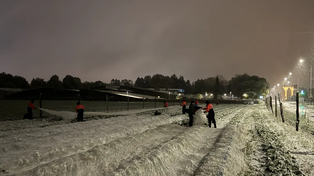 Foto: Luka Bratu&scaron;