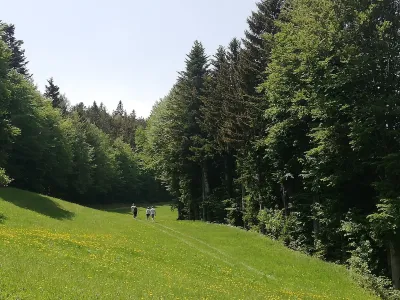 Na Pohorju vetrnic ne bo, so odločeni planinci iz Planinskega dru&scaron;tva Slovenska Bistrica in člani različnih iniciativ. Kot kaže, pa zadnja bitka &scaron;e ni bila izbojevana. Foto: Vesna Levičnik&nbsp;