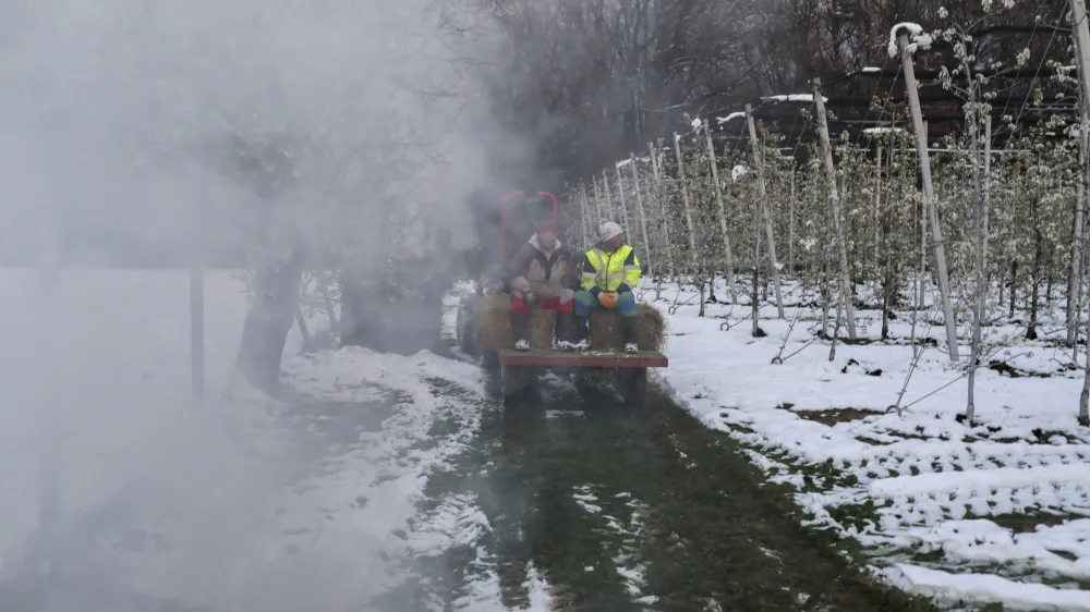 - sadovnjak Artiče - senene bale- 06.04.2021 - Spomladanska Pozeba - kurrjenje v sadovnjaku kot za&scaron;čita proti zmrzali - sadno drevje //FOTO: Jaka Gasar