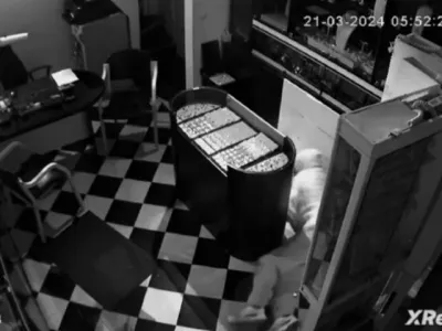 Posnetek varnostne kamere