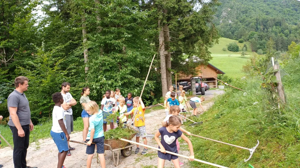 Lanska počitni&scaron;ka idila na ekolo&scaron;ki učni kmetiji Kr&scaron;inar&nbsp;