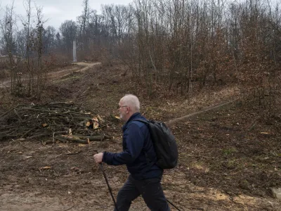 - 27.02.2024 &ndash; Krajinski park Tivoli &ndash; sečnja oslabljenih in bolnih dreves na območju Podrožni&scaron;ke poti v Krajinskem parku Tivoli, Rožnik in &Scaron;i&scaron;enski hrib //FOTO: Nik Erik Neubauer