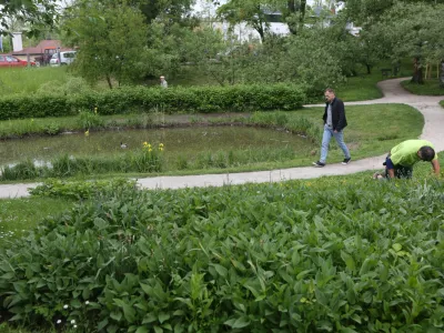 - 11.05.2016 - Botanični vrt v Ljubljani - nova naravoslovna učna pot poimenovana &raquo;Po poti Fleischmannovega rebrinca&laquo;.- vodeni ogled s pestrostjo rastlinskih vrst v botaničnem vrtu in v različnih življenjskih okoljih Grajskega griča, ///FOTO: Luka Cjuha.