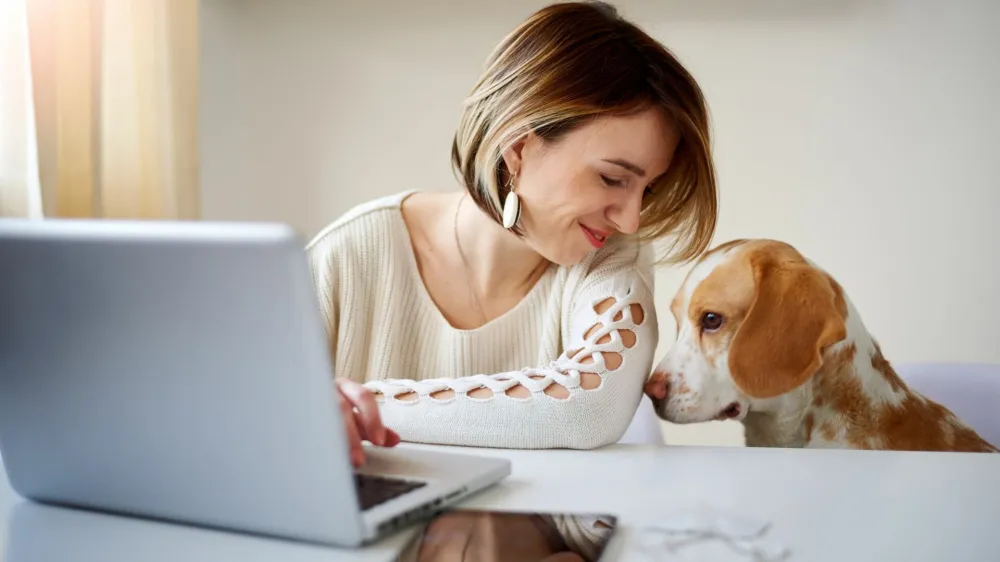 Caucasian businesswoman playing with dog in home office