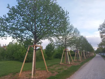 &nbsp; &nbsp; &nbsp;&nbsp;