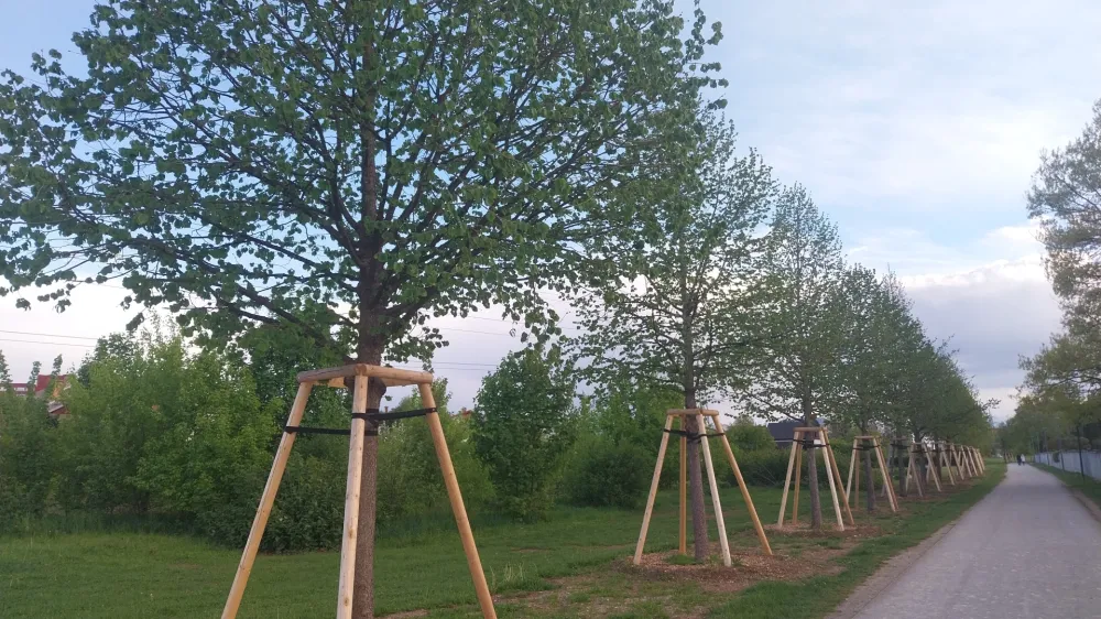 &nbsp; &nbsp; &nbsp;&nbsp;