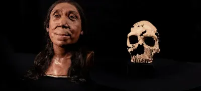 Rekonstruiran obraz Šanidar Z