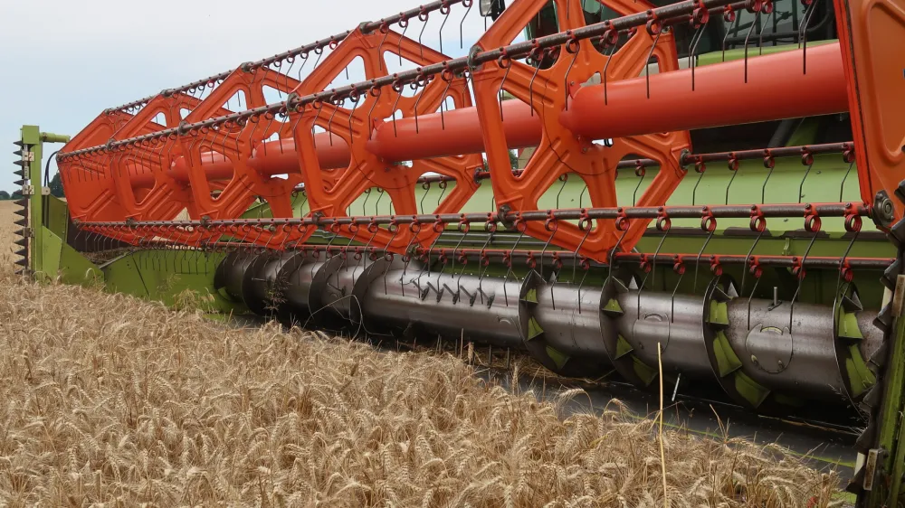 Pomurje, Rakičan, Panvita, žetev, p&scaron;enica, kombajn. Foto. Tatjana Pihlar 
