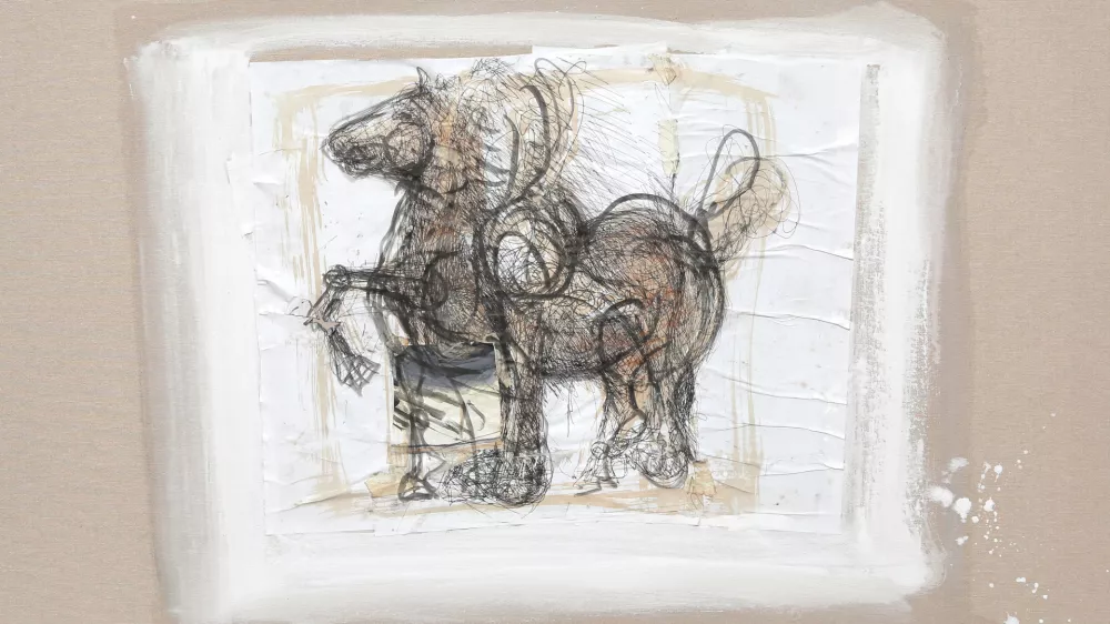 Mirsad Begić, Galerija Novak