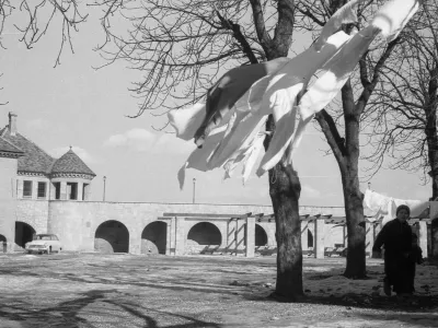 Poustvarjamo fotografije Marjana Cigliča