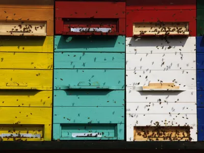 čebelarstvo - čebele - panji- Zeli&scaron;čarska kmetija Plavica - Cerovec 34 - Dolenjske Toplice, zeli&scaron;čarstvo//FOTO: Jaka Gasar