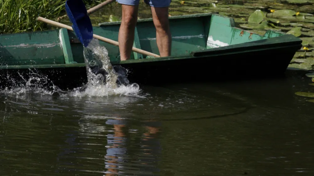 - 6. Mednarodni spust s tradicionalnimi murskim ladjami po reki Muri 2008, od mostu čez Muro v Cmureku v Avstriji do Dekanovca v Republiki Hrva&scaron;ki., reka Mura- Moto prireditve je zbliževanje med sosednjimi narodi, ki živijo ob reki Muri, namen prireditve pa je oživljanje starih običajev, vzpodbujanje zavedanja o ekologiji //FOTO: Bojan VelikonjaOPOMBA: ZA OBJAVO V PRILOGI &ndash; DNEVNIKOV OBJEKTIV - REPORTAŽA