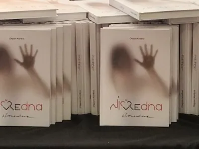 Knjiga Ničvredna, Dejan Karba