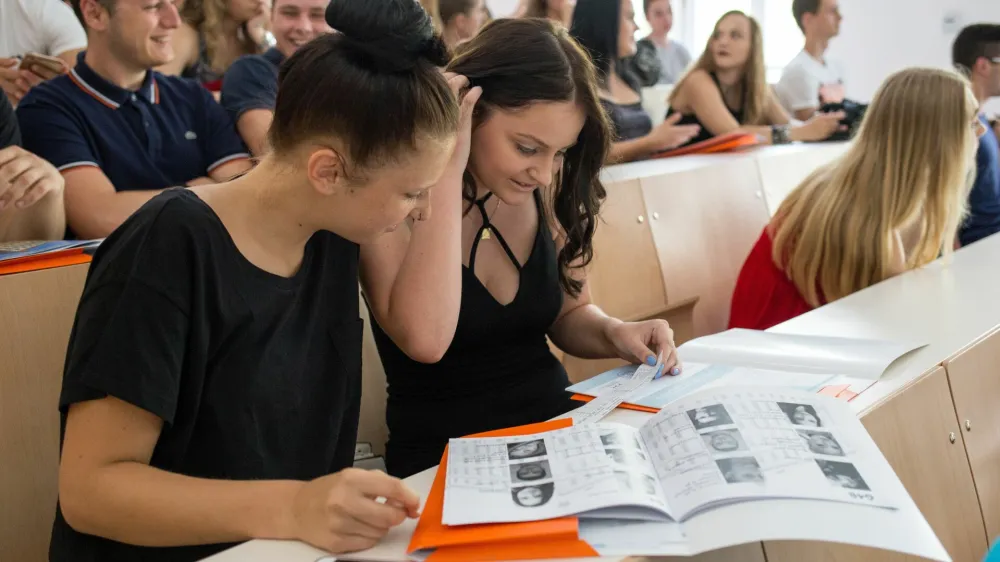 Dijaki in dijakinje se bodo morda v prihodnosti lahko odločali tudi med dvema nivojema mature pri sloven&scaron;čini. Fotografija je simbolična.&nbsp;